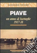 Piave. Un anno di battaglie (1917-18) libro