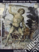 Pittura murale esterna nel Veneto. Vol. 3: Verona e provincia libro