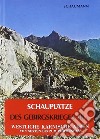 Schauplätze des Gebirgskrieges 1915-17. Vol. 3/1: Westliche Karnische Alpen libro