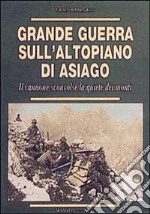 Grande guerra sull'altopiano di Asiago. Il cannone sconvolse la quiete dei monti libro