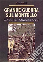 Grande guerra sul Montello. Sul «Carso verde» l'ala infranta di Baracca libro