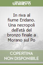 In riva al fiume Eridano. Una necropoli dell'età del bronzo finale a Morano sul Po libro