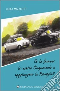 Ce la faranno le nostre Cinquecento a raggiungere la Norvegia? libro