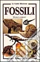 I fossili