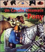 Un cavallo chiamato pony libro