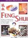 Feng shui libro