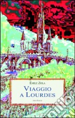 Viaggio a Lourdes libro