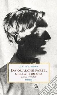 Da qualche parte, nella foresta. Lettere 1897-1939 libro