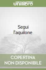 Segui l'aquilone libro