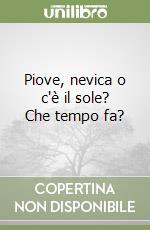 Piove, nevica o c'è il sole? Che tempo fa? libro
