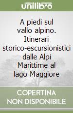 A piedi sul vallo alpino. Itinerari storico-escursionistici dalle Alpi Marittime al lago Maggiore libro