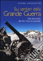 Sui sentieri della grande guerra. Dall'Adamello alle Tre Cime di Lavaredo libro