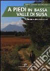 A piedi in bassa Valle di Susa. Il Musinè e altre escursioni libro di Ceragioli Filippo Molino Aldo