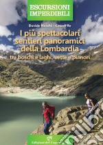 I più spettacolari sentieri panoramici della Lombardia. Tra boschi e laghi, vette e pianori libro