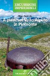 A piedi sul vallo alpino in Piemonte libro