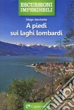 A piedi sui laghi lombardi libro