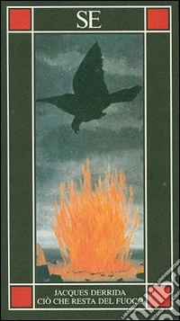 Ciò che resta del fuoco. Testo francese a fronte