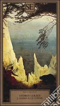 L'anima e le forme libro