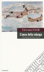 L'anno della valanga libro