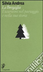 La Bregaglia. Escursioni nel paesaggio e nella sua storia libro