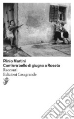 Com'era bello di giugno a Roseto libro