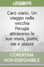 Caro viario. Un viaggio nella vecchia Perugia attraverso le sue mura, porte, vie e piazze libro