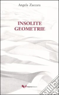 Insolite geometrie libro