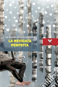 La nevicata perfetta