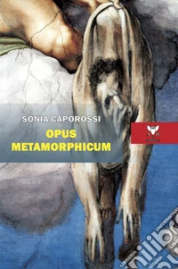 Opus metamorphicum