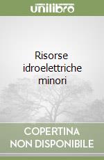 Risorse idroelettriche minori libro