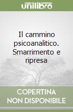 Il cammino psicoanalitico. Smarrimento e ripresa libro