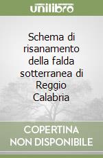 Schema di risanamento della falda sotterranea di Reggio Calabria