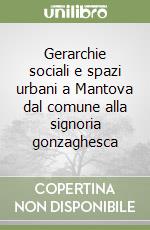 Gerarchie sociali e spazi urbani a Mantova dal comune alla signoria gonzaghesca libro