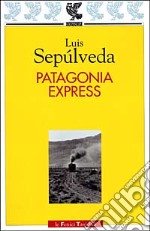 Patagonia express libro usato