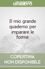 Il mio grande quaderno per imparare le forme libro