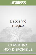 L'acciarino magico libro