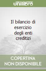 Il bilancio di esercizio degli enti creditizi