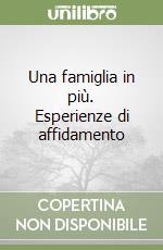 Una famiglia in più. Esperienze di affidamento