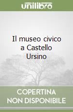 Il museo civico a Castello Ursino libro