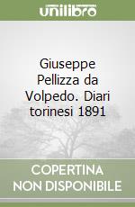 Giuseppe Pellizza da Volpedo. Diari torinesi 1891 libro