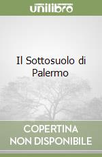 Il Sottosuolo di Palermo libro