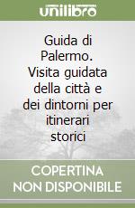 Guida di Palermo. Visita guidata della città e dei dintorni per itinerari storici libro