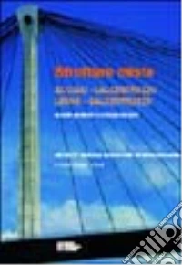 Strutture miste. Acciaio-calcestruzzo, legno-calcestruzzo libro