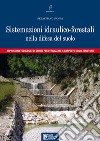 Sistemazioni idraulico-forestali nella difesa del suolo. Approcci metodologici di studio per ottimizzare il rapporto uomo-territorio libro di Sanna Sebastiano