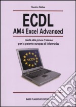 ECDL AM4 Excel Advanced. Guida alla prova d'esame per la patente europea d'informatica libro