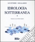 Idrologia sotterranea. Vol. 1