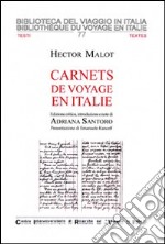 Carnets de voyage en Italie libro