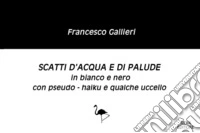 Scatti d'acqua e di palude in bianco e nero con pseudo-haiku e qualche uccello libro