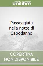 Passeggiata nella notte di Capodanno libro