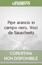 Pipe arancio in campo nero. Voci da Sauschwitz libro